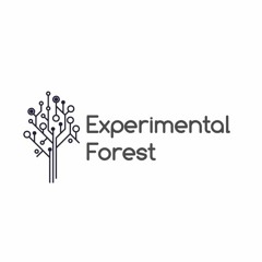 Experimental Forest