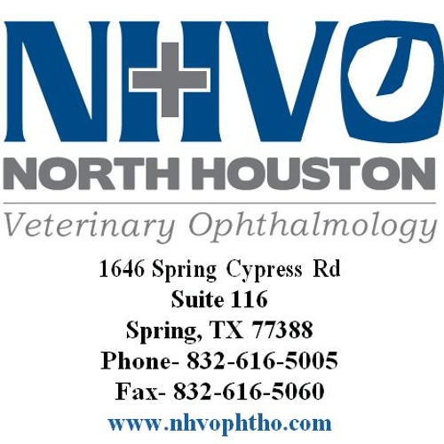 North Houston Veterinary Ophthalmology’s avatar
