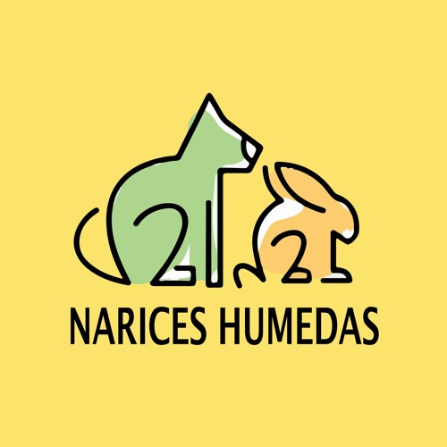 Narices Humedas’s avatar
