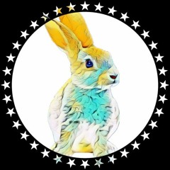 Rabbit Chris ✪