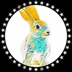 Rabbit Chris ✪
