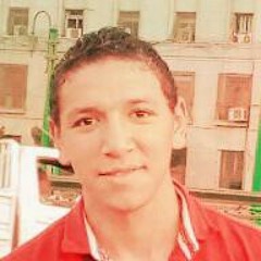 Mostafa Almasre