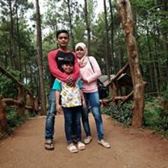 Sulis Sulis