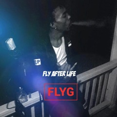 Fly G