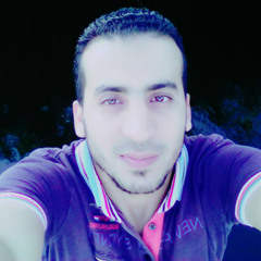 Hassan Rabie fawzy
