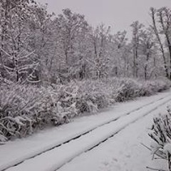 Олег Абросимов