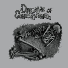 Dreams Of Consciousness