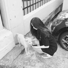 An Hạ