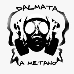 Dalmata A Metano