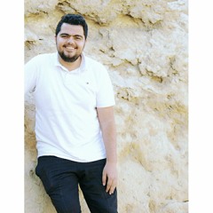 Ahmed Sayed Totti