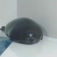 Trash_Can