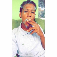 TZ DA PVL