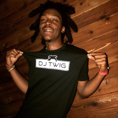 DjTwig321