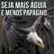 clovisboas.z@gmail.com