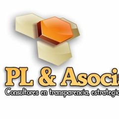 PatronLunaconsultores