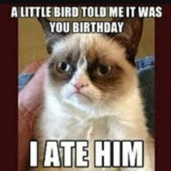 Yourmom ha