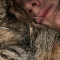 getting shot by ghosts in dreams