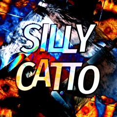 sillycatto