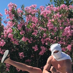 Dima Akto