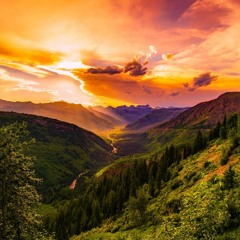 Cybersynergetic HonkyKong