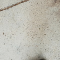 manu