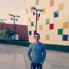 Ehab Shokry