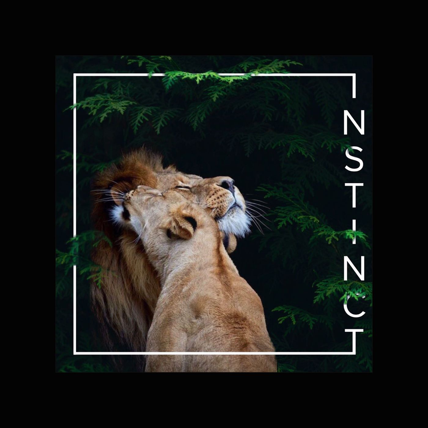 INSTINCT