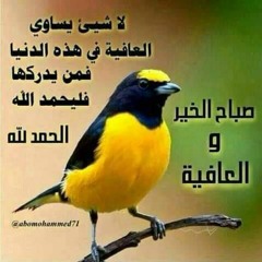 mohamedtom