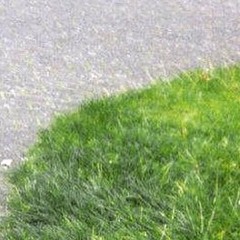 caroline christensen