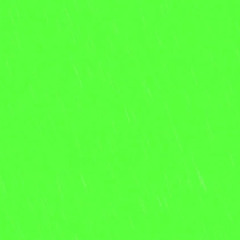 Colletjules2121