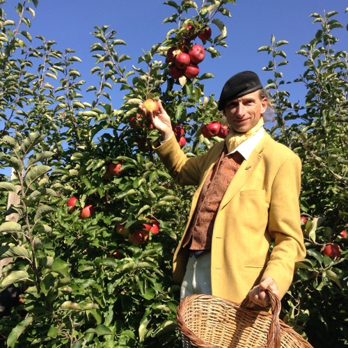 Borse apple best sale
