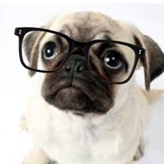LogicPug
