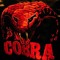 DJ BCobra