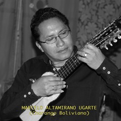 marceloaltamiranougarte77