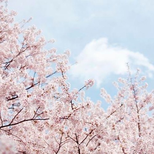 Stream 六哲 畢竟深愛過希望你以後不會後悔沒選擇我動態歌詞版mv By Stacey Koh Listen Online For Free On Soundcloud