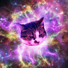 Dwldgr