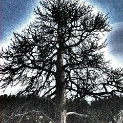 Interstate Stash Express