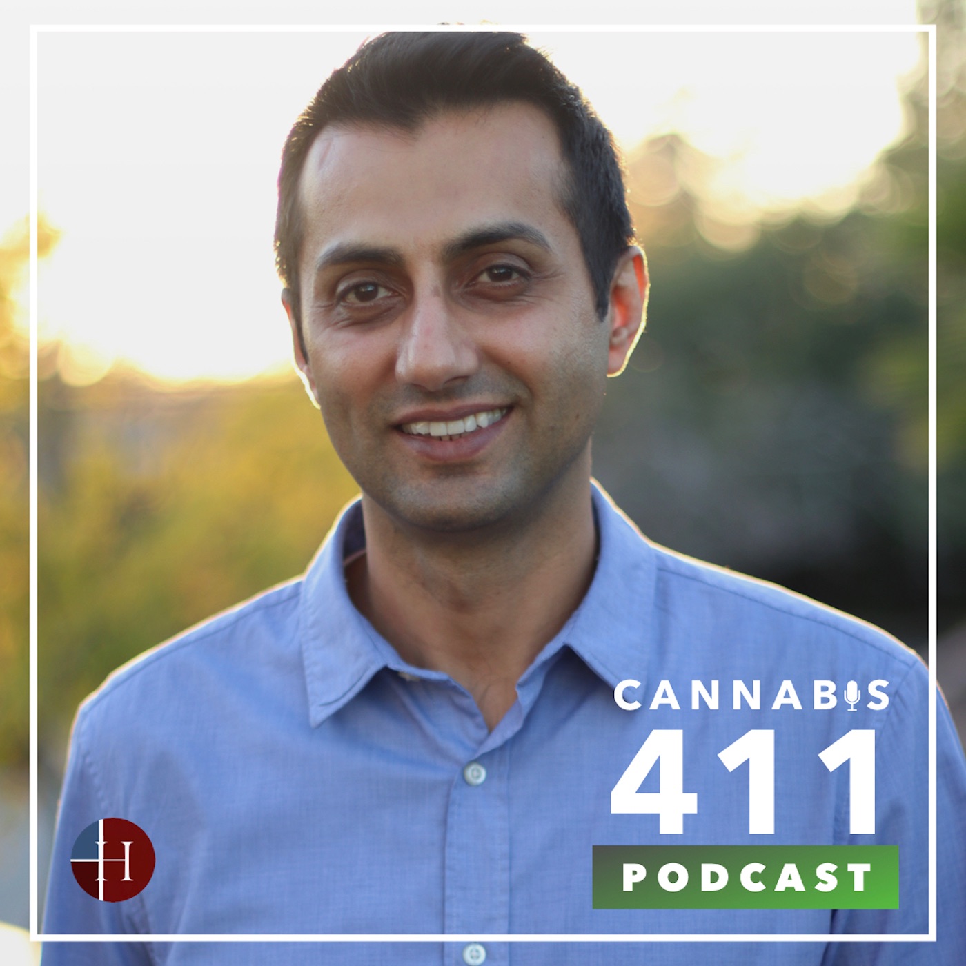 The Cannabis Consult