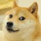 Doge
