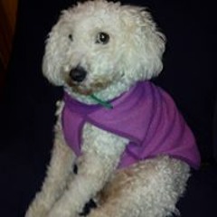 LOS CHARROS ENGANCHADOS!!!!!