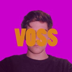 VOSS