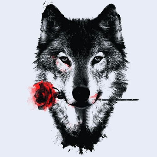 Iwolf619’s avatar