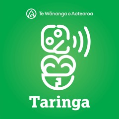 Te Wānanga o Aotearoa