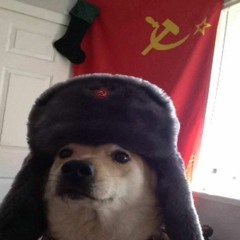 slavdoggo