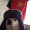 slavdoggo