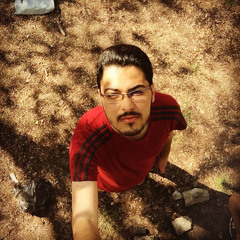 mohammad hossein Saeedi