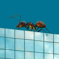 Wayward Ant
