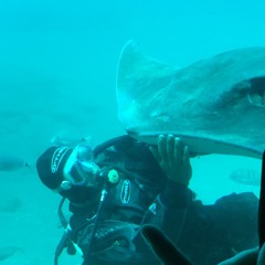 Carolyn Jane Derbyshire