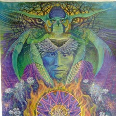 mindforcewave