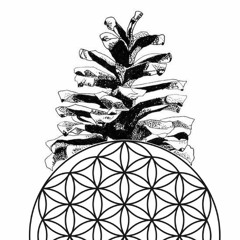 The Sacred Grind Radio